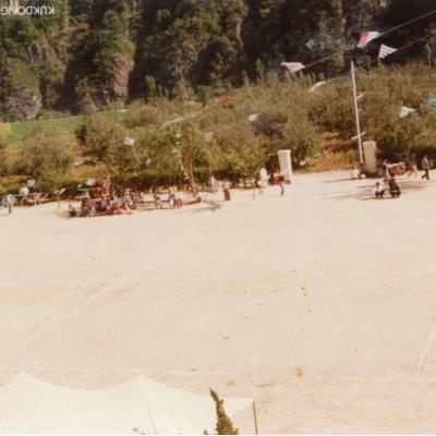 1981년 도산국민학교 운동회