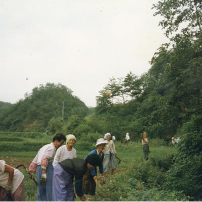 1990년대초 마을 풀베기 작업