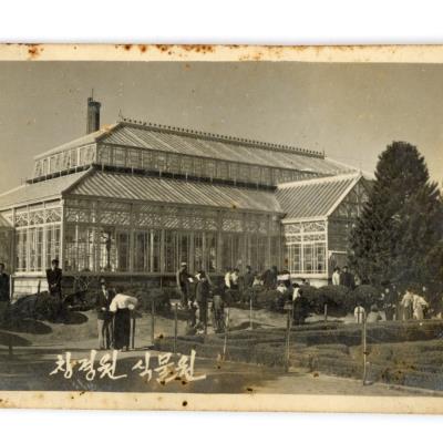 1950년대 창경원 식물원