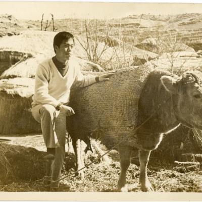 1974년 와룡 가류리 집에서 소와 나