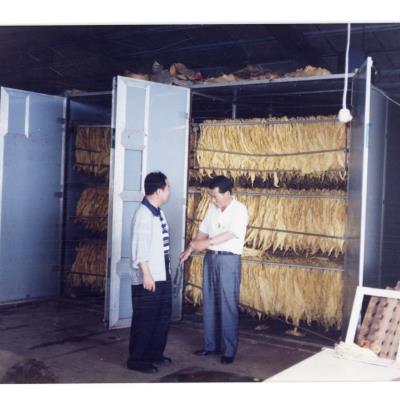 1996년 엽연초 건조 지도 사진