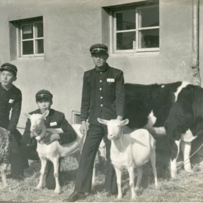 1960년경 안동농림고등학교 교정에서