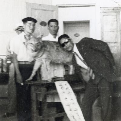 1964년 경북대학교 전시실