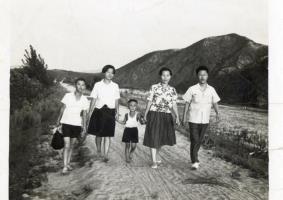 마뜰 포도밭에서