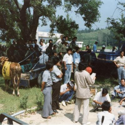 1985년 7월1일 소몰이행진(소값 피해 보상요구)-다인,안계,쌍호 지역민