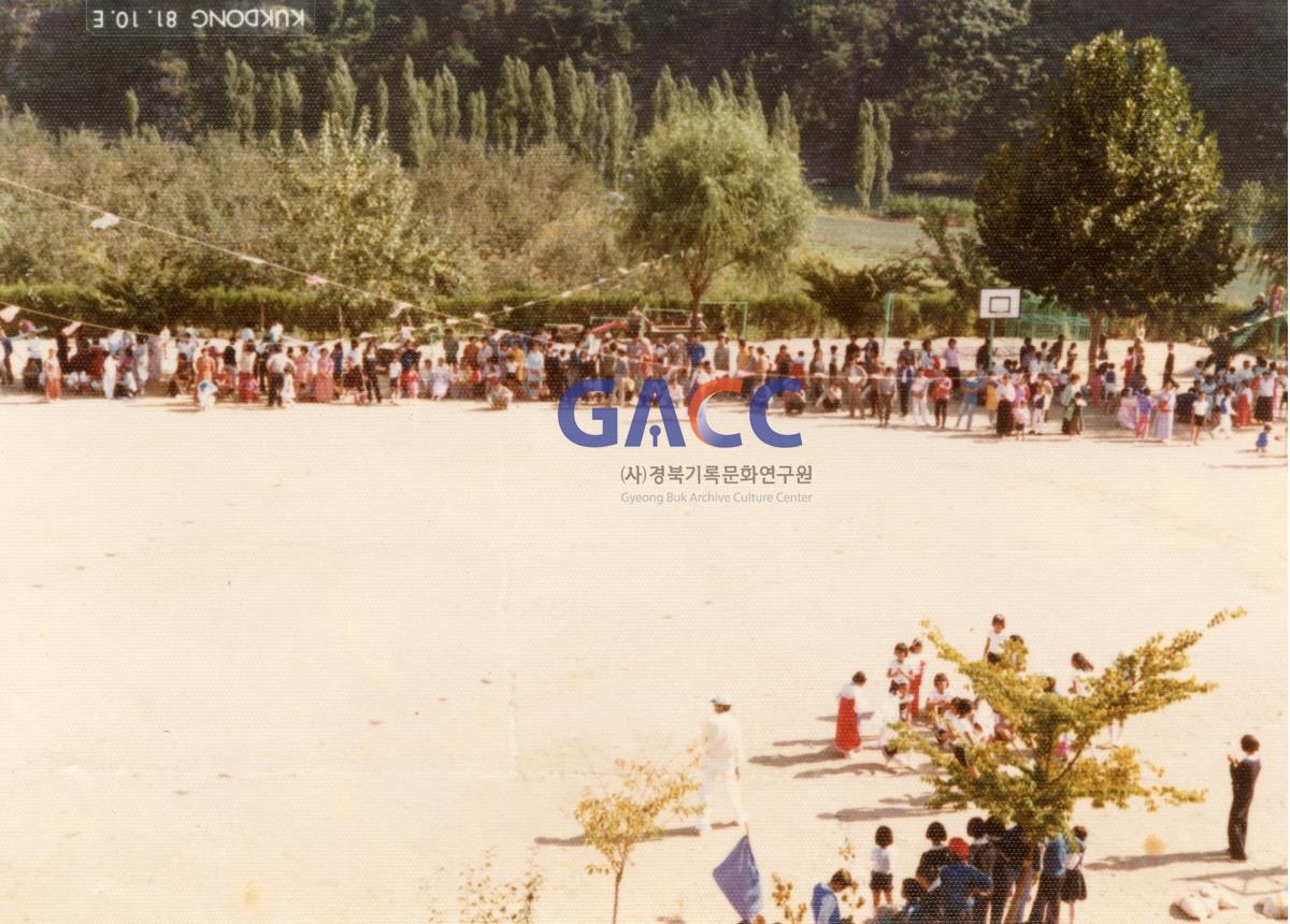 1981년 도산국민학교 운동회 작은그림