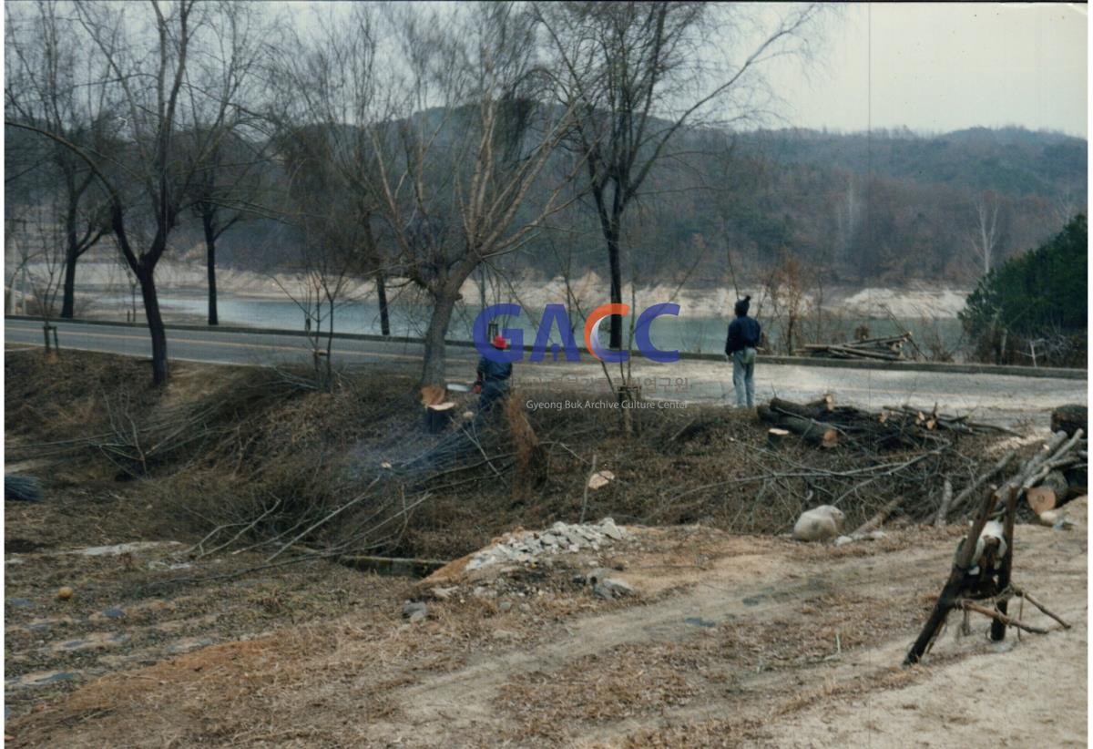 1992년 1월 밭근처에서 나무 정리하던 사진 작은그림