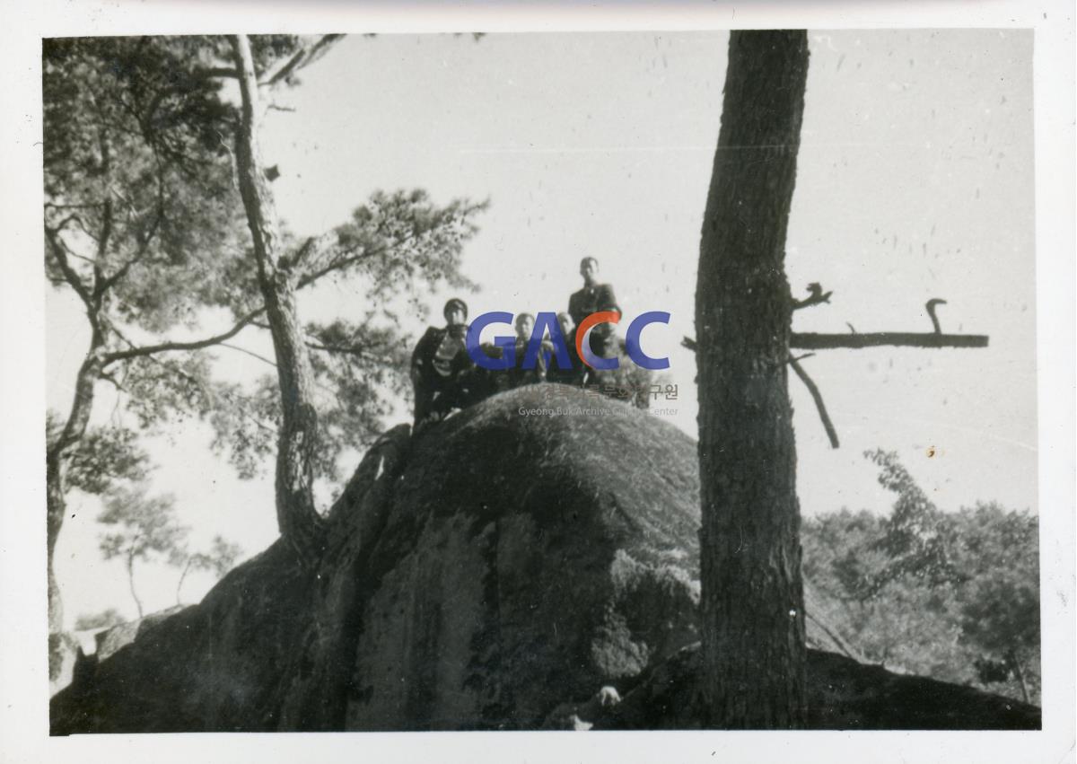1960년 주하동 큰바위 작은그림