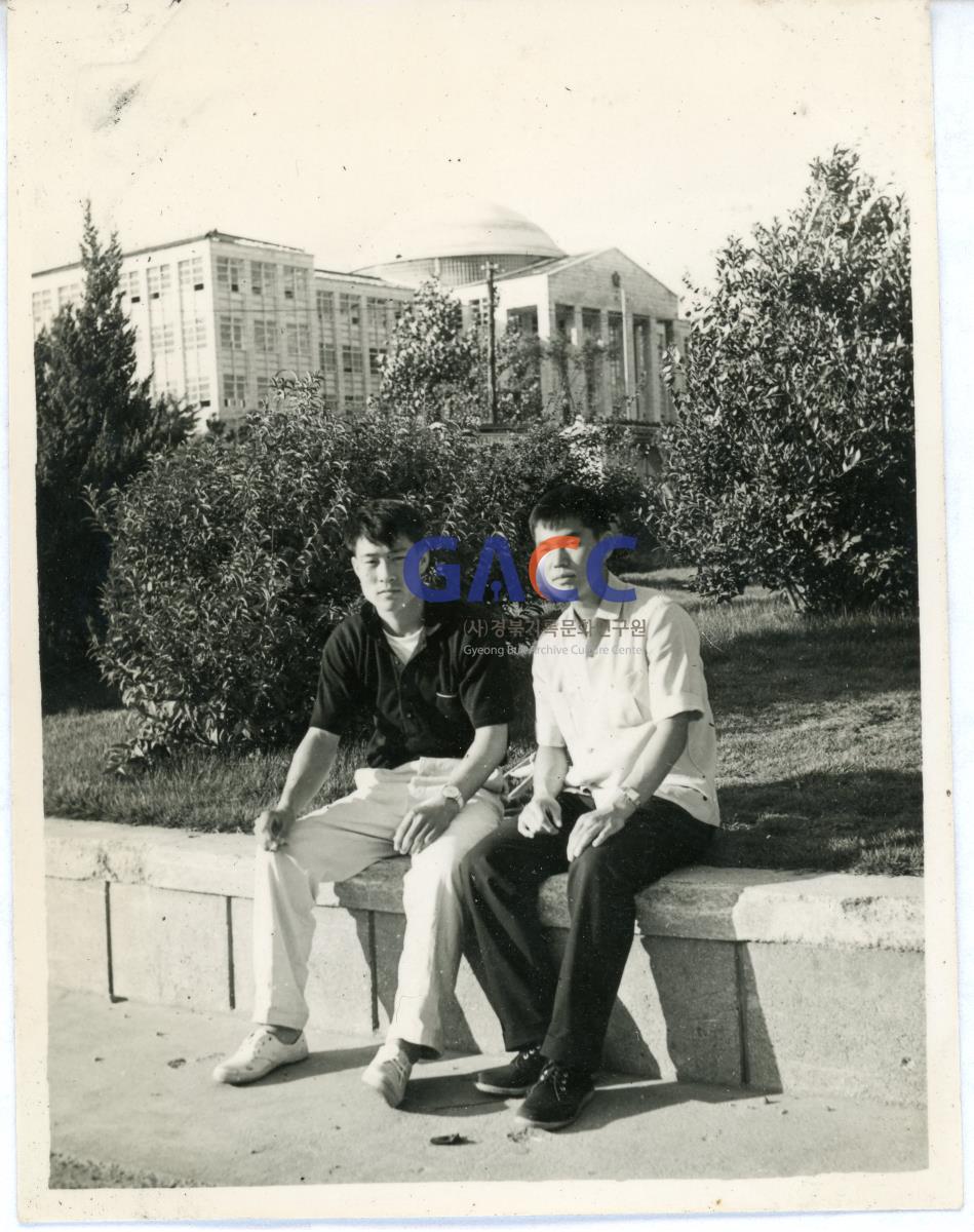 1964년 경북대학교 동기 작은그림