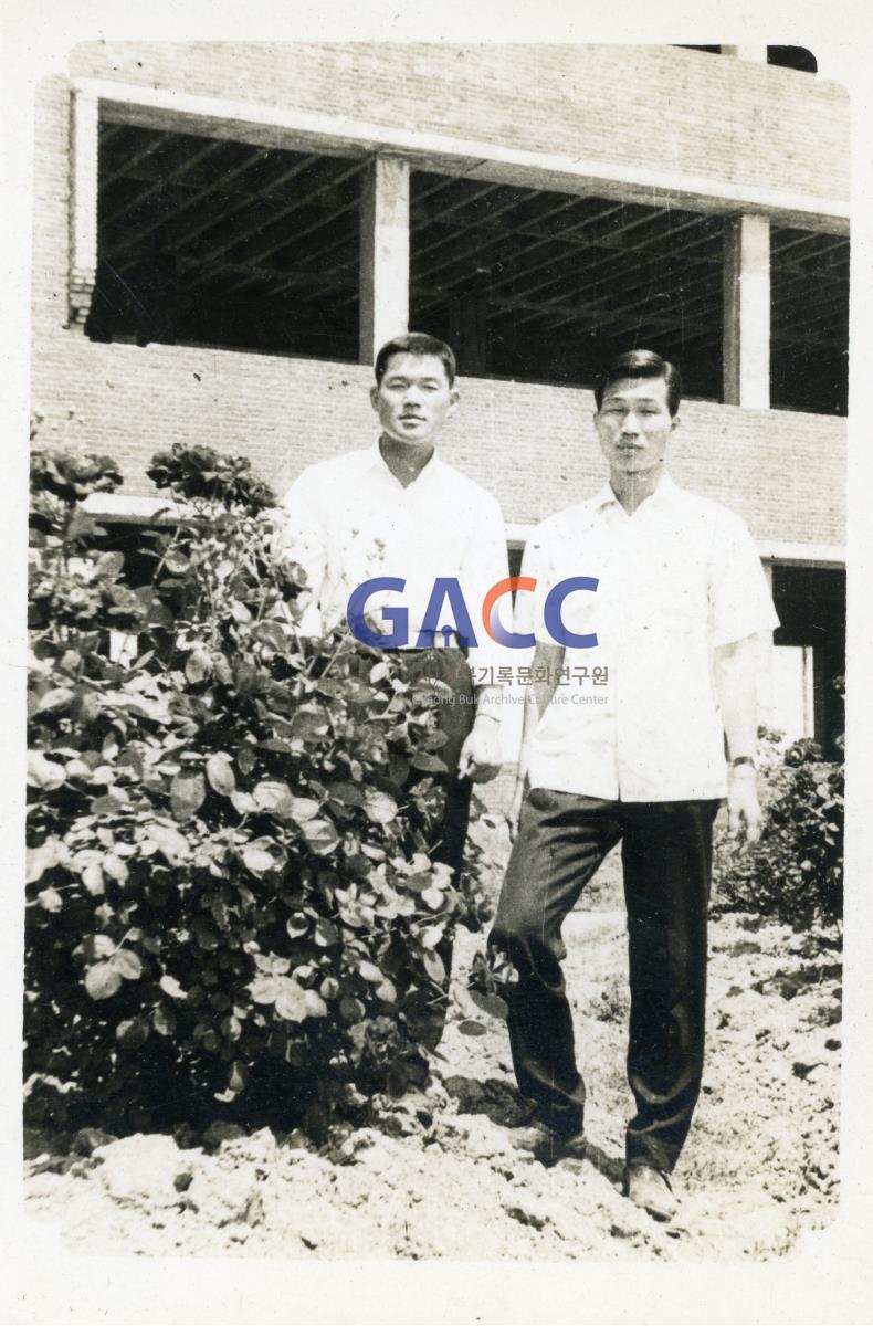 1964년 경북대학교 작은그림