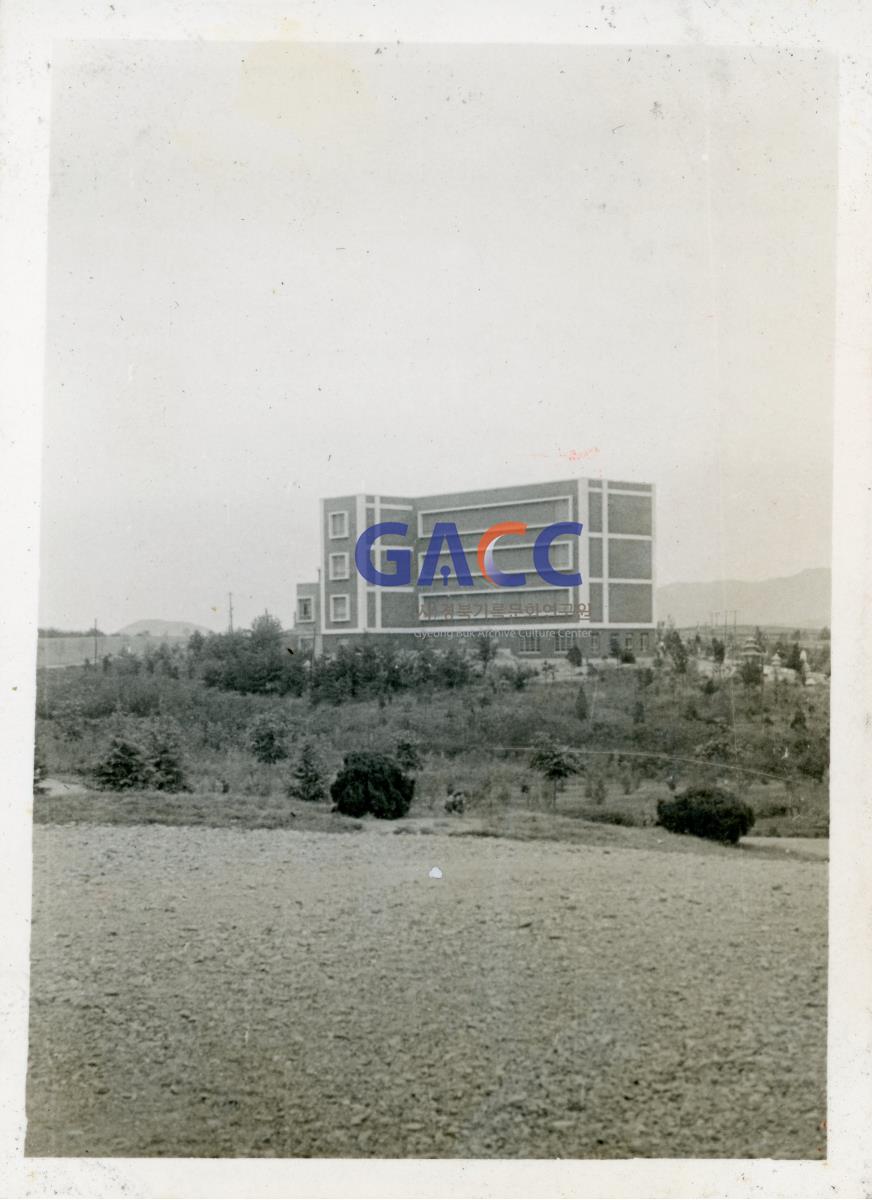 1964년 경북대학교 작은그림