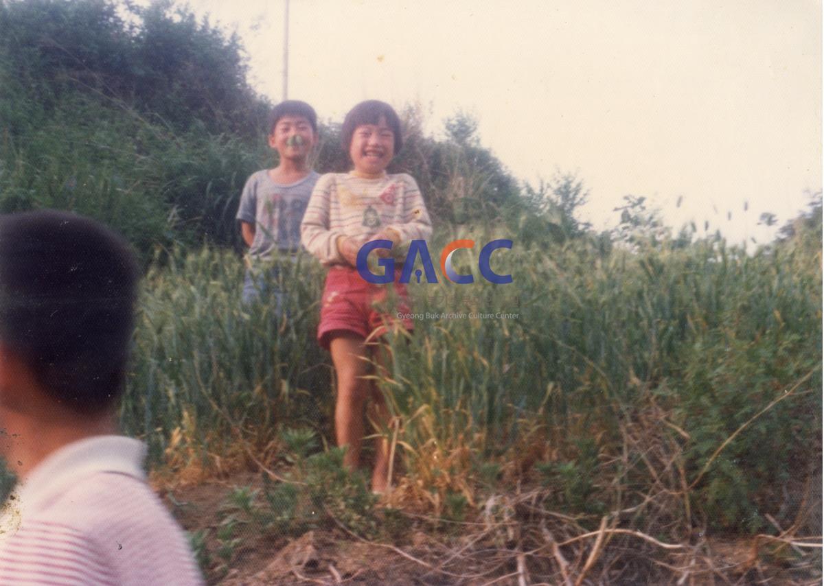 1980년 푸른 보리이삭과 동생들 작은그림