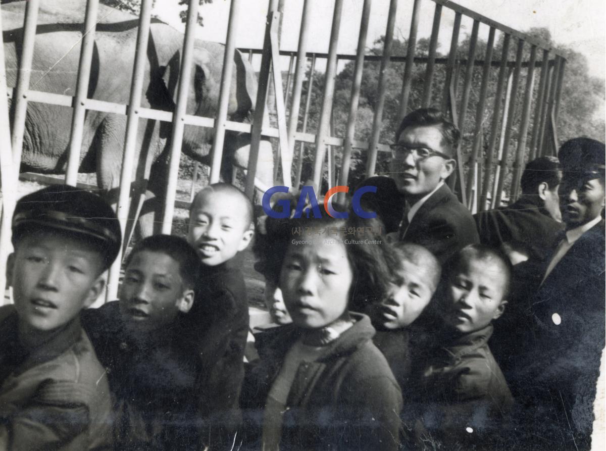 1964년 예안초등학교 수학여행 작은그림