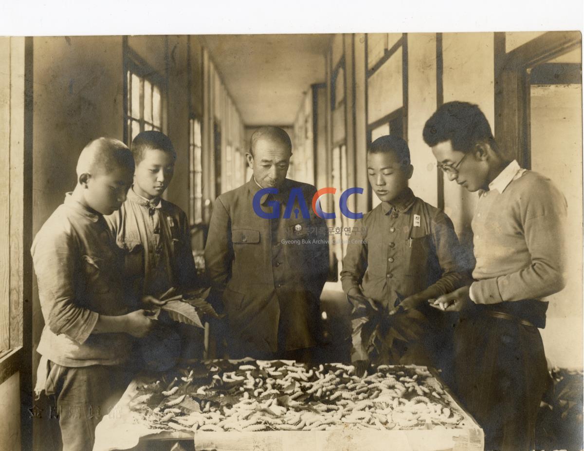1937년 안동공립농림학교 잠업교육현장 작은그림