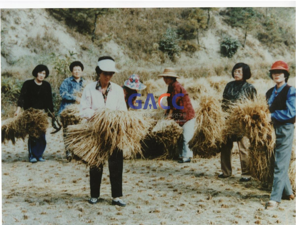 1988년 농촌일손돕기 작은그림