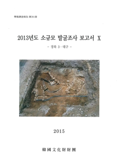 2013년도 소규모 발굴조사 보고서 Ⅹ -경북 3·대구-